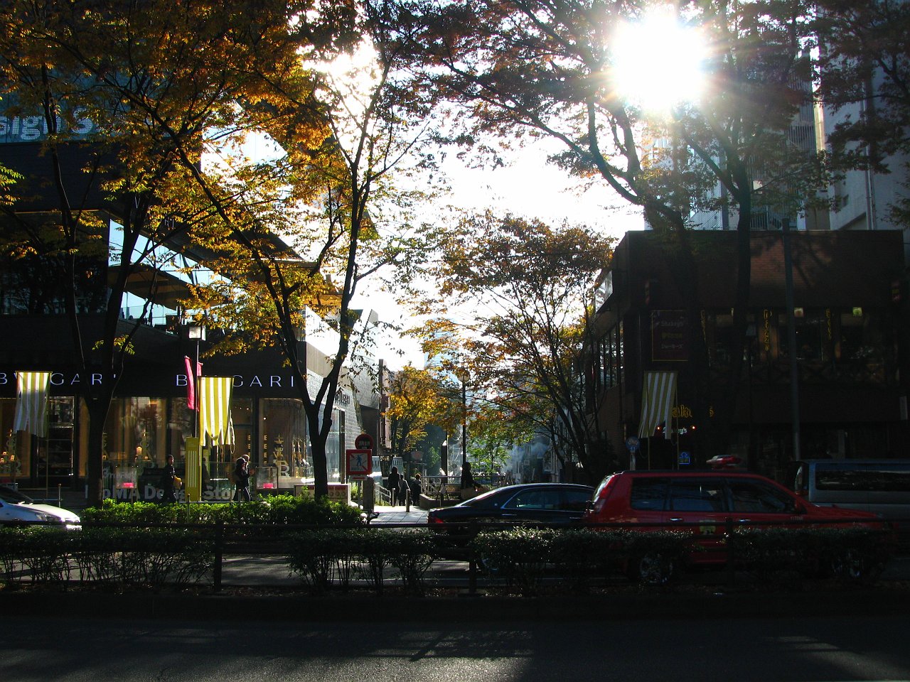 the view to cat street shibuya side.JPG